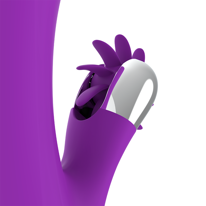 FUN FUNCTION – KRÓLICZEK WESOŁEK WIBRACJE 2.0