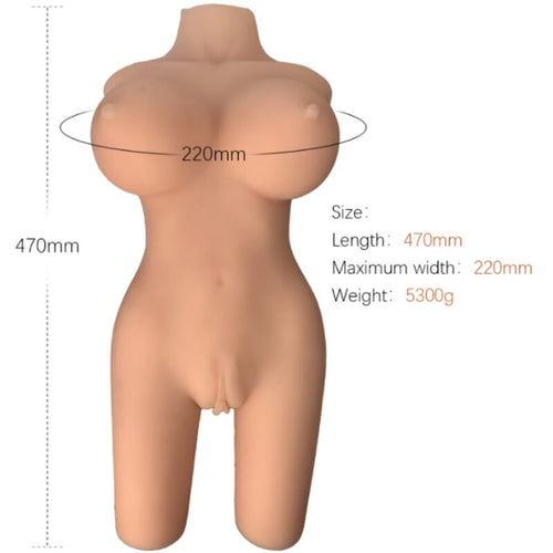 ARMONY - REALISTYCZNY MODEL KOBIECEGO KORPUSU 6